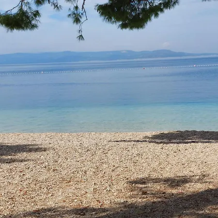 Dana Apartament